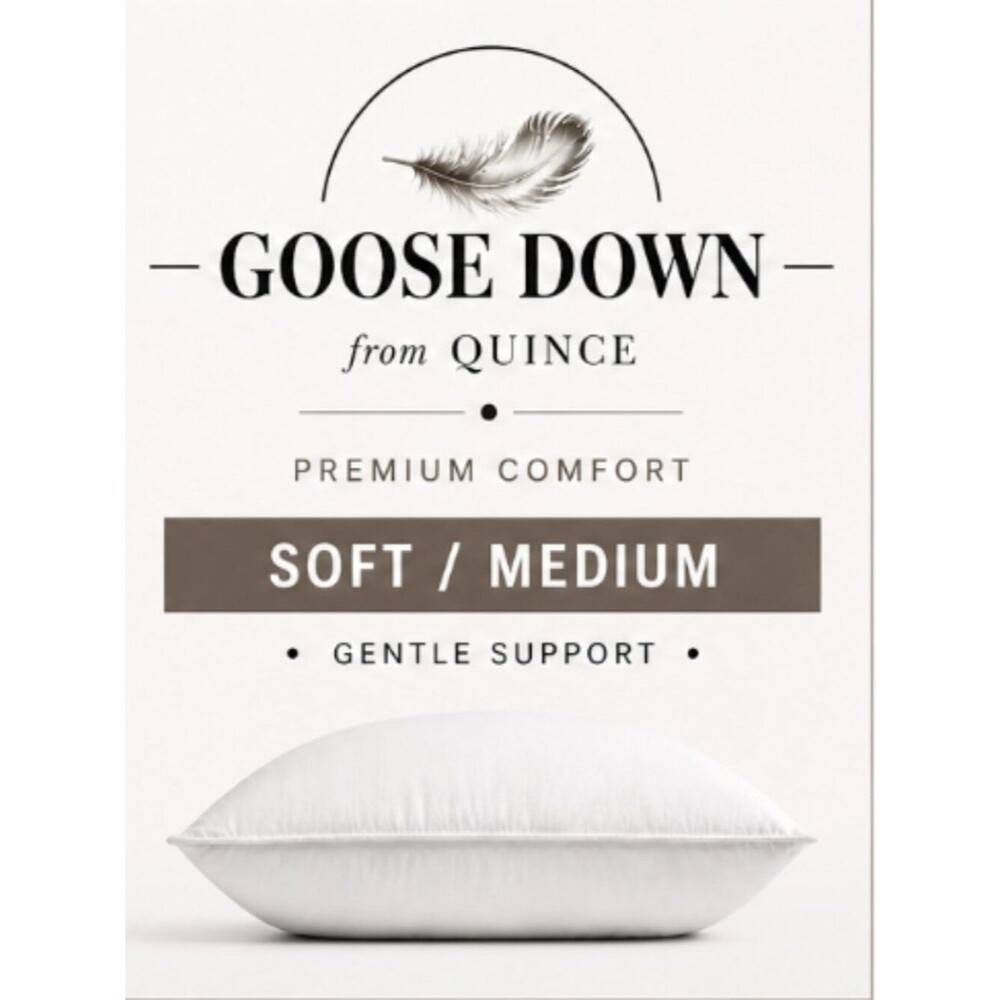 NWOT Quince King Luxe Goose Down Pillow Soft/Medium White Premium Down